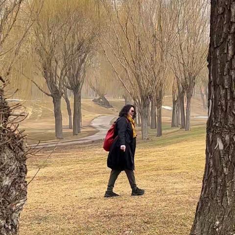 见与不见