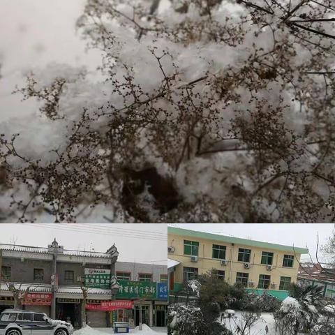 真情似火，除去寒冬，开辟生命通道——固市中心卫生院