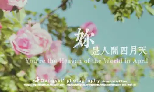 你是人间四月天