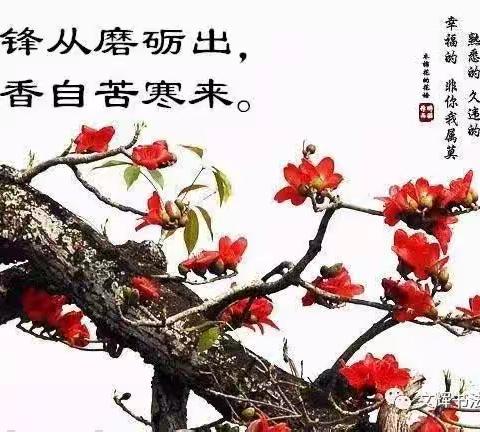 优秀作业展风采，大展宏“兔”向未来