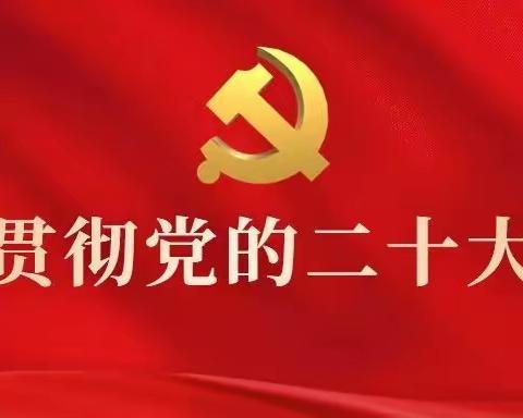质计部轧钢站党支部开展党的二十大精神学习