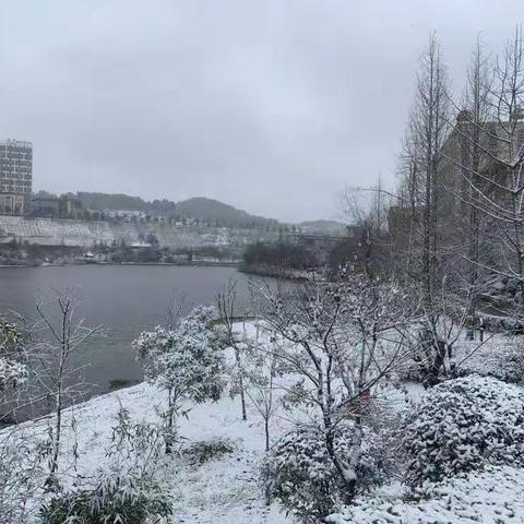 冬天的精灵——雪