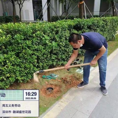 融湖盛世花园周五义务劳动日