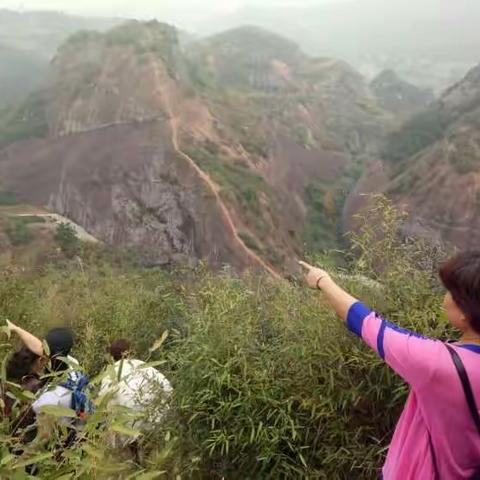 情动红岩岭 缘定千年樟