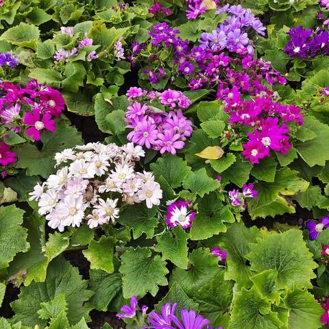 水港物业服务中心1月简报