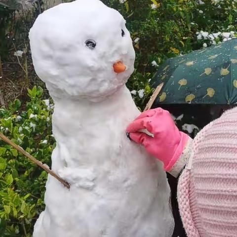 飞雪迎春到