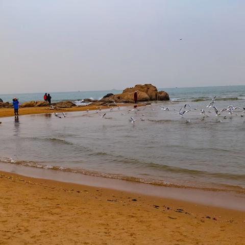 旅游胜地好风景 北戴河上留倩影（之二）