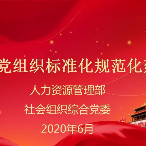 加强党组织标准化进展 推动党建工作高质量发展--高新区社会组织综合党委组织开展标准化规范化专题线上培训