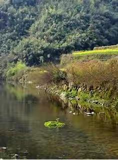 以社会实践感受生活之美  从点滴劳动汲取扬帆之力---四川省南充高级中学  高2022级3班 何芸欣