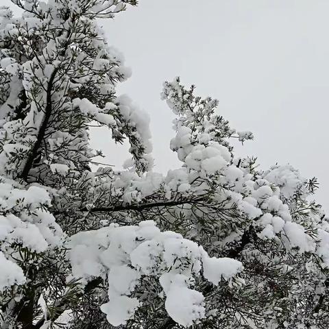 雪