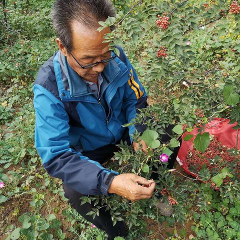 回忆舅舅刘文正