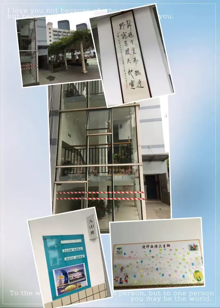上海洋泾中学东校校园花絮