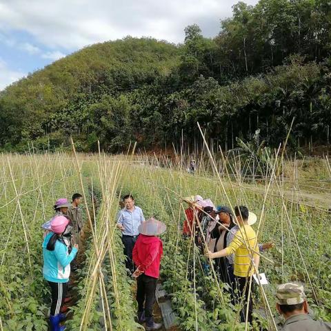 坚持大培训，以学会为止，增强内生动力，持续发展强基础