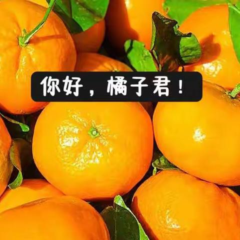 你好， 橘子君！