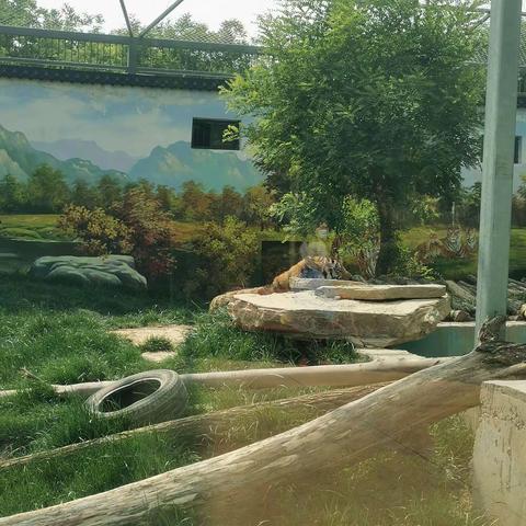 临汾动物园半日游