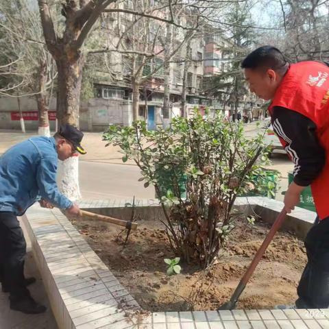 清涧街道办华毓社区开展“播种绿色希望，建设美好家园”植树节活动