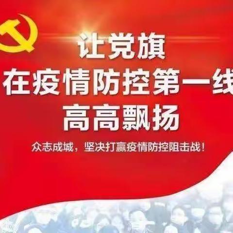 抗疫一线党旗红 勇担使命践初心