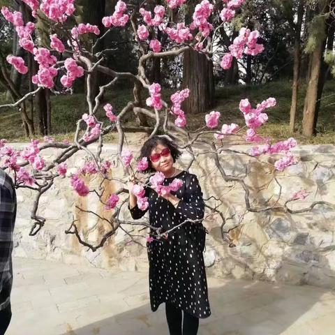 2023年3月30号去颐和园游玩31号去北海公园