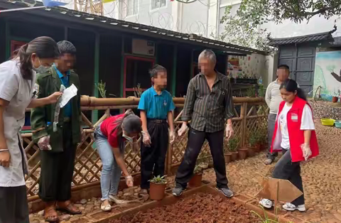 职业康复训练——各类蔬菜的种植方法