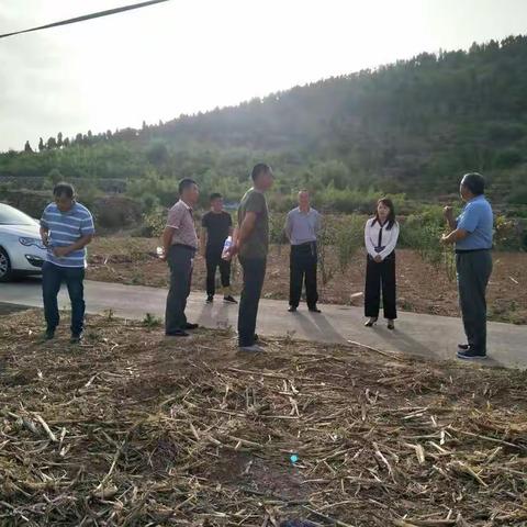 “建功新时代，助力攻坚战”     狮豹头乡人大主席团组织部分代表对省道沿线种植结构调整项目进行视察