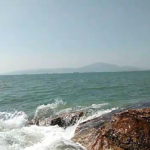 面朝大海