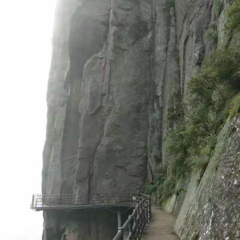 辞旧迎新，岁月如歌