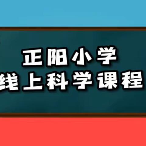 【绿园区正阳小学·教学在线】居家趣玩科学 实验探无止境——科学学科线上实验教学小记🔆四年级