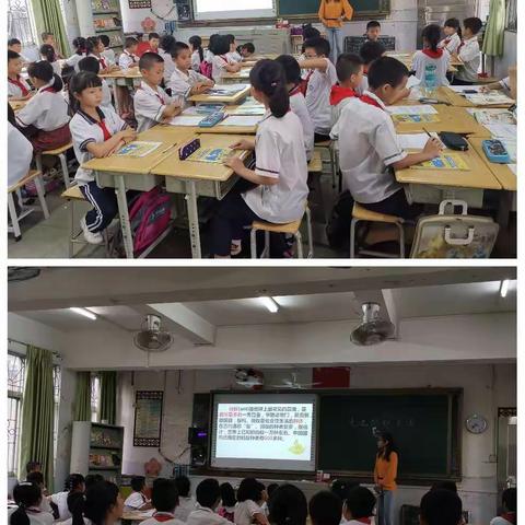 李少琼名师工作室之〖走进蚂蚁王国〗研讨课