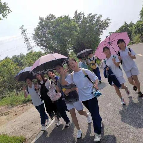 热情似火总是夏