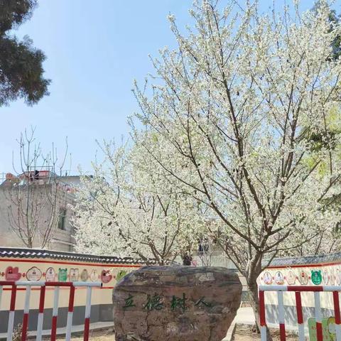 人才的摇篮，爱心的港湾——巩义市鲁庄镇赵城小学励志苑美景