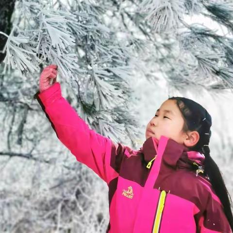 新年徒步登高，惊艳雾凇美景 --记录寒假亲子运动