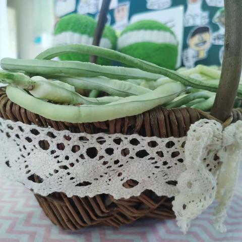 你好呀！豪华植物园——大一班《青青种植园探索日记》结题活动。