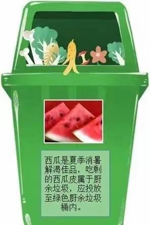 大家一起学分类--西瓜