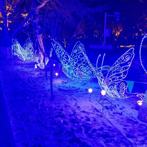 兰州市民公园花灯情