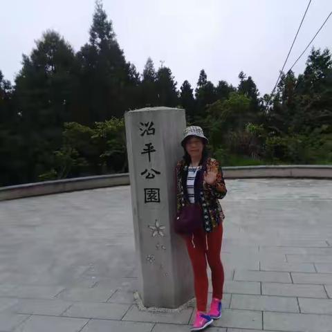 宝岛八日游(四)秀美的阿里山