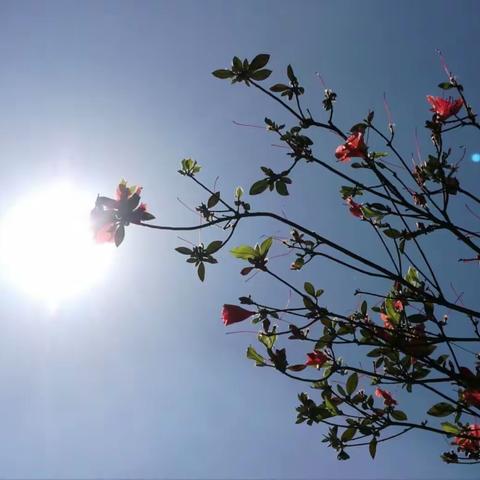 踏青好时节，随处赏美景