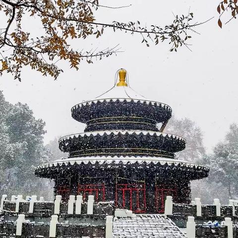 无锡大雪之雪景