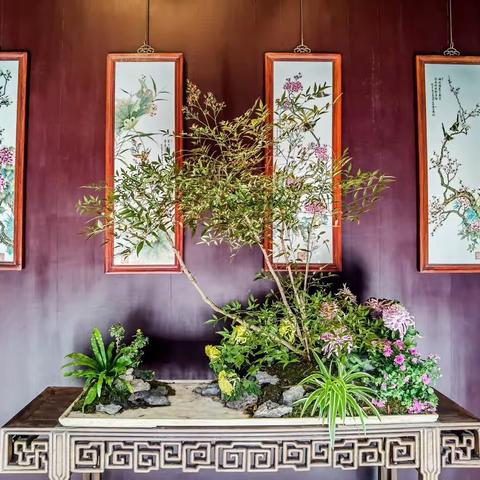 陪大哥、小琴游苏州