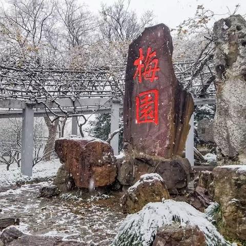 无锡梅园之雪景