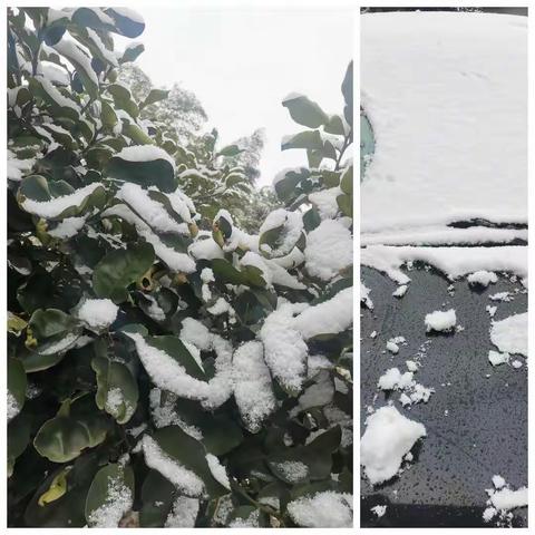 第一场冬雪