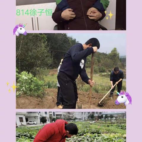 八(14）班  谁言寸草心，报得三春晖