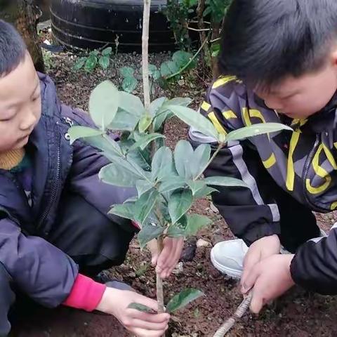 白柳镇中心小学五年级 二班 李有为的美篇