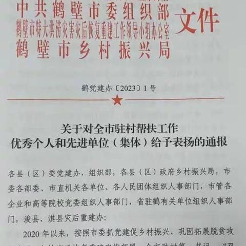 坚定不移扛牢责任，牢记使命奋战基层—建行鹤壁分行驻村工作受到表扬