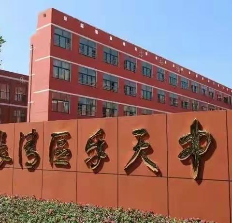 繁绿晨荫凉，栀白满正香——信息中心一周工作纪实