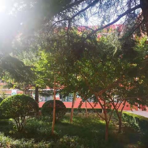 初冬天气暖，小似立春时——信息中心一周工作纪实