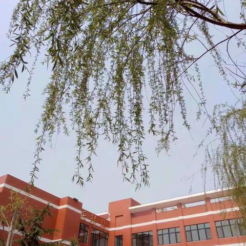 正是浴兰时节动，芳华依旧看今朝——信息中心人物志