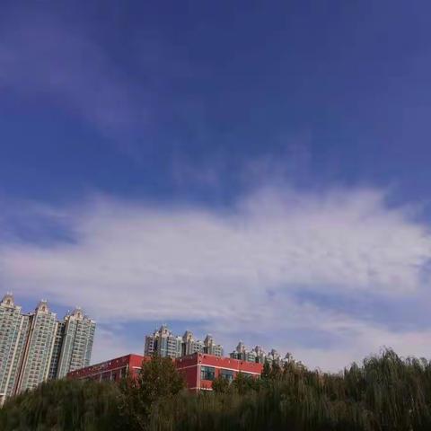 千帆竞发势如虹——七年级一周活动纪实
