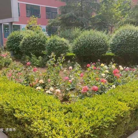 夏浅胜春最可人——信息中心第一周工作纪实