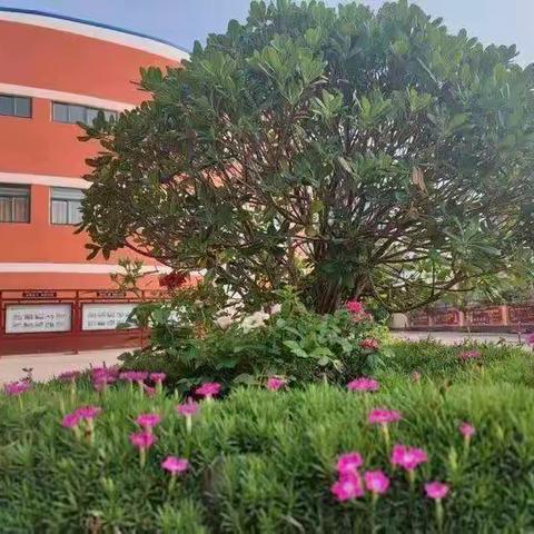 露凝千片玉，菊散一丛金——信息中心一周工作纪实