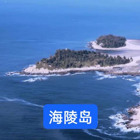 金鸡报晓的美篇